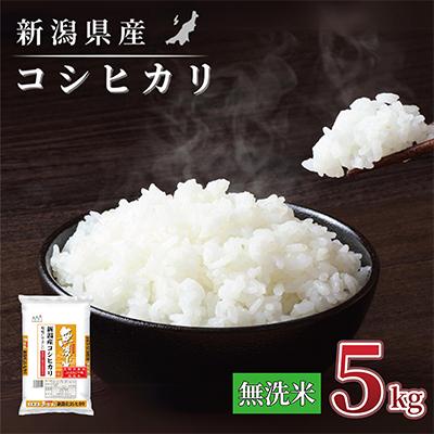 ふるさと納税 見附市 【令和7年産 】新潟県産 コシヒカリ 5kg 無洗米 新潟 の美味しい お米