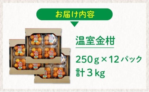 【先行予約】＜2026年発送＞温室金柑 1kg 3箱（250g×12パック） 果物 果肉 果汁 フルーツ デザート おやつ スイーツ 金柑 完熟 完熟きんかん 完熟金柑 おすすめ 贈り物 贈答 プレゼ