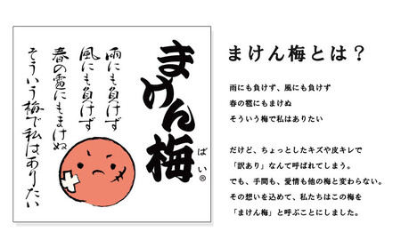 訳あり梅干 はちみつ漬蜜宝梅 3kg(500g×6) 紀州南高梅 ご家庭用 塩分約5% B-203