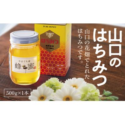 ふるさと納税 山口市 山口のはちみつ　500g D155