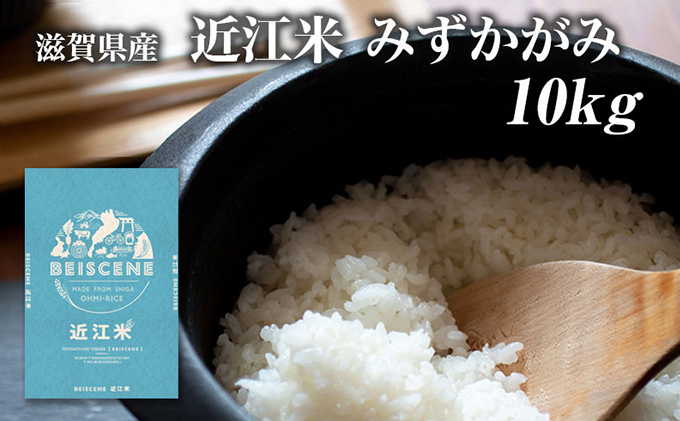 令和7年産新米　滋賀県豊郷町産　近江米 みずかがみ　10kg お米