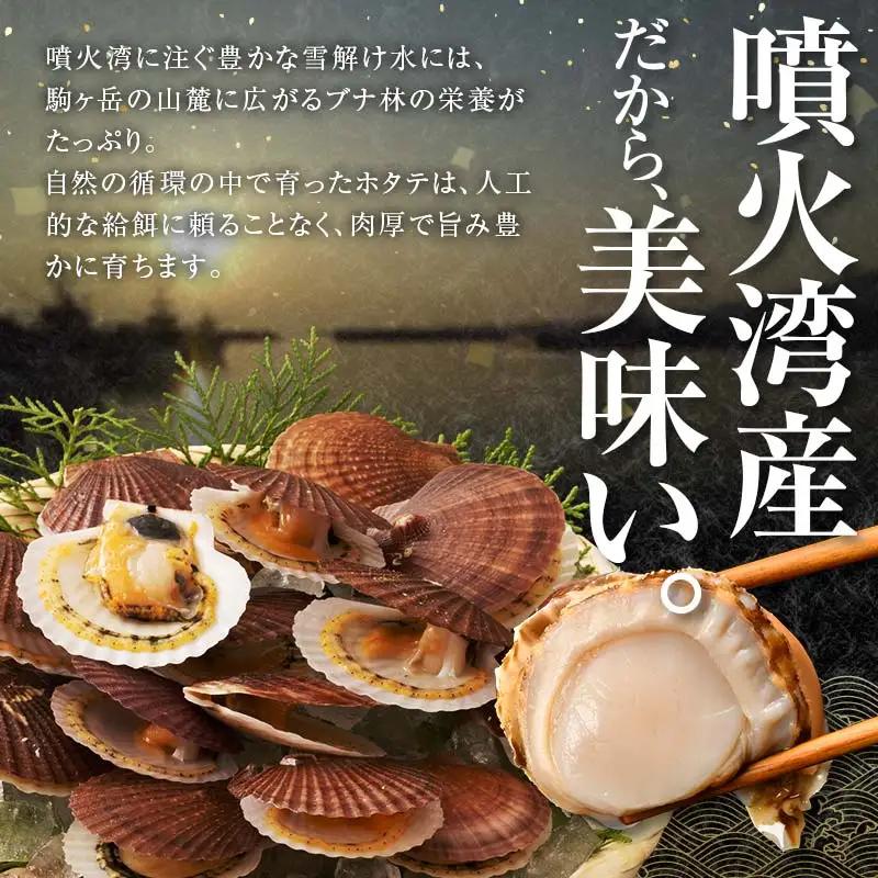 【訳あり】北海道・噴火湾産冷凍ボイルほたて（サイズ不選別品） 800g×2（1.6kg） ＜海鮮問屋　株式会社　瑞宝＞ 噴火湾 森町 ほたて 帆立 ホタテ 海産物 魚貝類 ふるさと納税 北海道 mr1