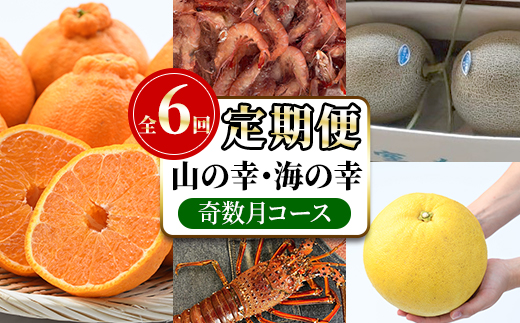 ＜定期便・全6回(奇数月)＞阿久根市の山の幸・海の幸(ぼんたん・不知火・タカエビ・メロン・伊勢海老など)国産 柑橘 みかん フルーツ 果物 魚介 頒布会【松永青果】a-120-4