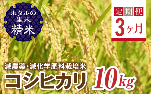 
                   ＜定期便3ヶ月＞ 令和8年産米【ホタルの里米】環境に配慮し農薬を減らした栽培米 コシヒカリ精米10kg  F4D-2293
                