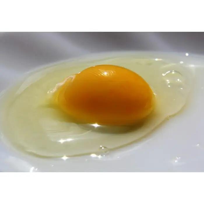 国産飼料にこだわった鶏が産む安全安心の『レモン色たまご』60個（55個＋割れ保証5個）［Hn2］