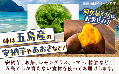 【12回定期便】まぼろし椿（マドレーヌ）6個入り ※味はおまかせ 五島市/uncalin[PGK016]