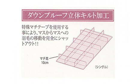 【数量限定】 在庫限り 布団 羽毛布団 シングル（H-01） ダウン 85％ 生地色柄おまかせ 抗菌 防臭 シングルサイズ