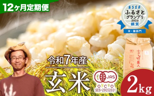 【12か月定期便】【有機JAS認定米】令和7年産 小さな竹美人 玄米 2kg(2kg×1袋) 株式会社コモリファーム《お申込み月の翌月から出荷開始》 st-p