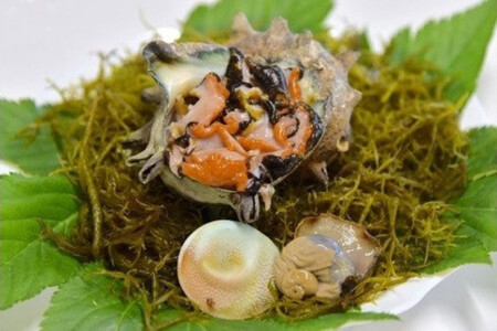 ドでかい！S級さざえ　【 さざえ サザエ さざえ サザエ さざえ サザエ さざえ サザエ 】