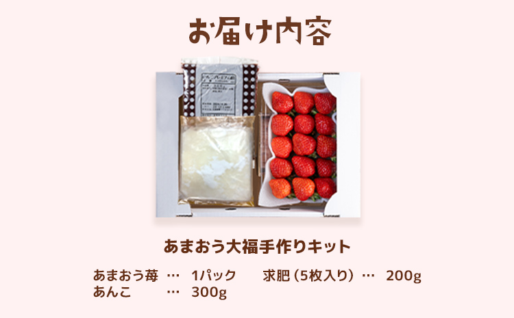あまおう大福 手作りキット（1セット） 大福 和菓子 キット セット【2025年1月～4月にかけて順次出荷予定】餡子 あん お菓子 手作り 苺 いちご 福岡県 大木町 池上農園 BD14