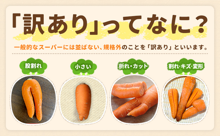 人参 訳あり にんじん ニンジン キャロット 5kg《12月中旬-3月上旬頃出荷》熊本県 大津町 人参 送料無料 にんじん キャロット 熊本県産 にんじん
