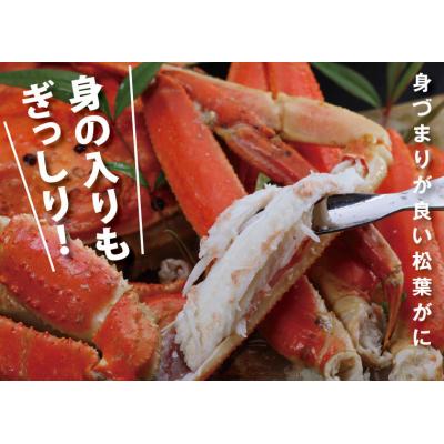ふるさと納税 鳥取市 鳥取賀露港 浜茹で松葉がに (かねまさ・浜下商店) |  | 01