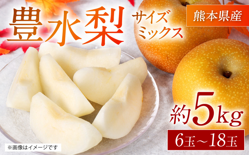 
            【先行予約】 熊本県産 豊水梨 サイズミックス 約5kg 6玉～18玉 【2025年8月下旬より順次発送】
          