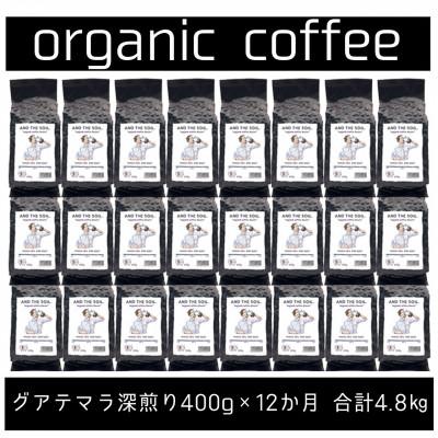 ふるさと納税 福岡市 【毎月定期便】ANDTHESOIL.焙煎オーガニックコーヒー豆GUA深煎り400g ME34全12回