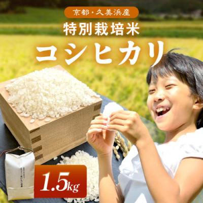 ふるさと納税 京丹後市 2026年産 京都・久美浜産 特別栽培米コシヒカリ 精米 1.5kg×1袋 農家直送のおいしいお米