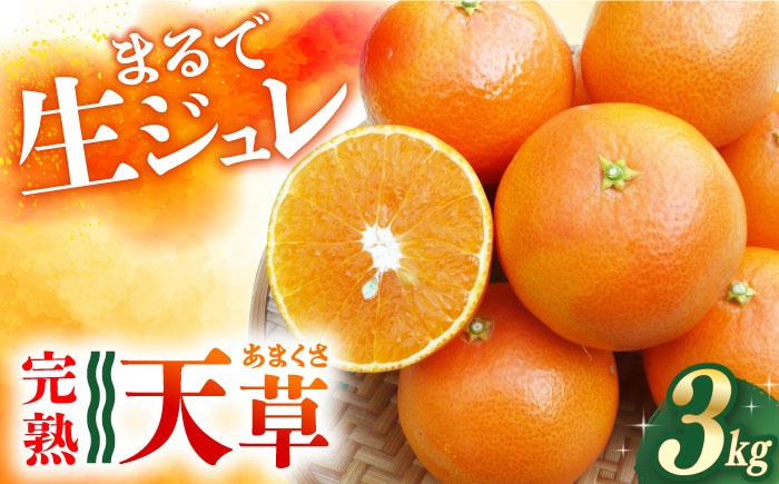 
            【ご家庭用】 天草 （あまくさ） 3kg ー2026年2月より発送ー 長与町/果豊園 [ECL002] みかん ミカン 柑橘 かんきつ フルーツ 果物 完熟 季節限定 家庭用 先行予約 長崎県産 長与町
          