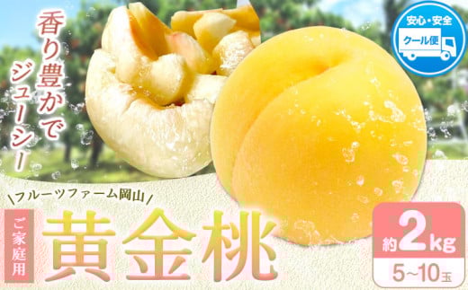 桃 もも【2026年先行予約】桃 黄金桃 ご家庭用 選べる内容量 2kg (5～8玉) フルーツファーム岡山《2026年8月中旬-8月末頃出荷》岡山県 浅口市 送料無料 フルーツ モモ 果物 青果 旬 国産 岡山県産【配送不可地域あり】 st-p