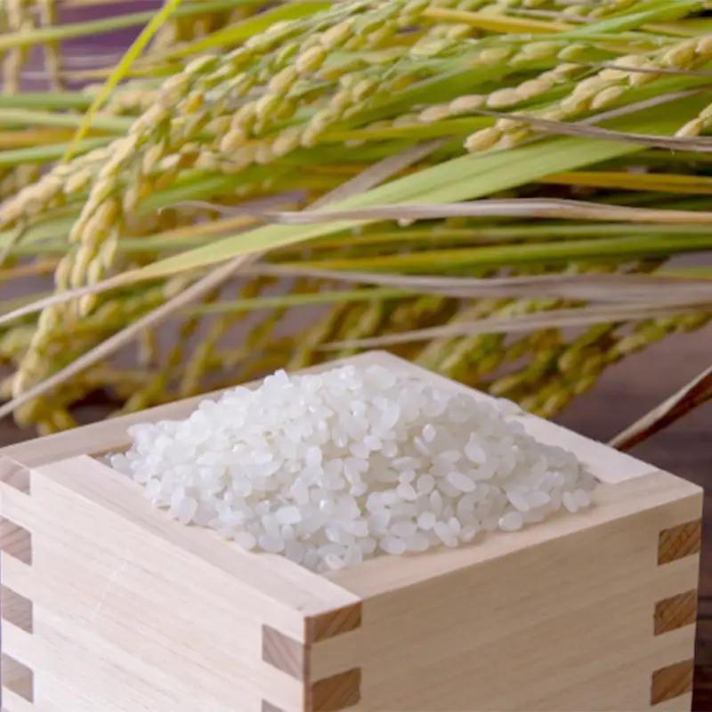 【定期便】令和7年度産 特別栽培米 丹の国穂まれ 精米 5kg×3回