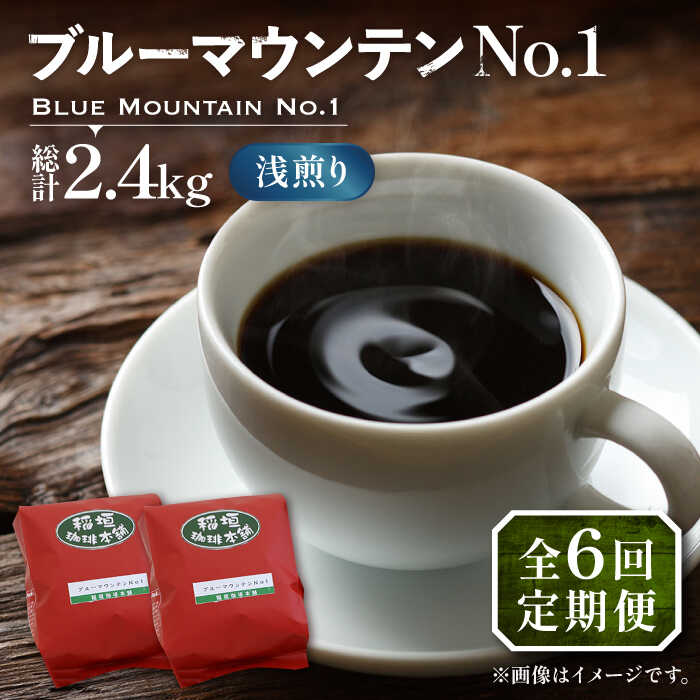 【ふるさと納税】【全6回定期便】ブルーマウンテン NO.1 コーヒー ( 浅煎り ) 《豊前市》【稲垣珈琲】 珈琲 コーヒー 豆 粉[VAS150] 236000 236000円