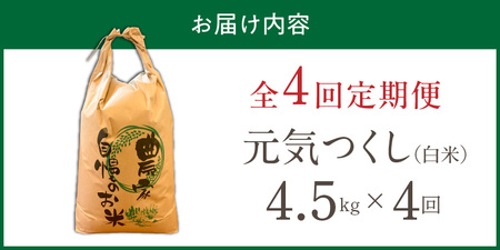 【定期便4回】【令和8年産 新米】福岡県産ブランド米元気つくし 白米 4.5kg×4回 _  元気つくし 4.5kg  お届け回数 4回 定期便 福岡県産 ブランド米 精米 新米 福岡生まれ 品種 香