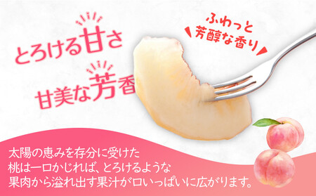 【2025年6月下旬より順次配送！】特秀品！絶品「桃」約4kg(12～16玉) |フルーツ 桃 旬 桃 美味しい 新鮮 桃 フルーツ 詰合せ 桃 セット フルーツ 人気 フルーツ 厳選 桃 おすすめ 