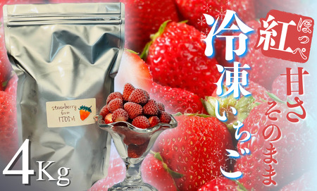 地元JA品評会金賞受賞　冷凍イチゴ4Kg　【 いちご 果物 フルーツ 苺 イチゴ 冷凍 果物 フローズン くだもの 大容量 静岡県産 期間限定 】