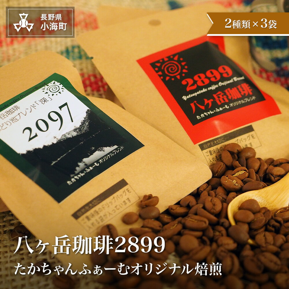 【ふるさと納税】八ヶ岳珈琲2899