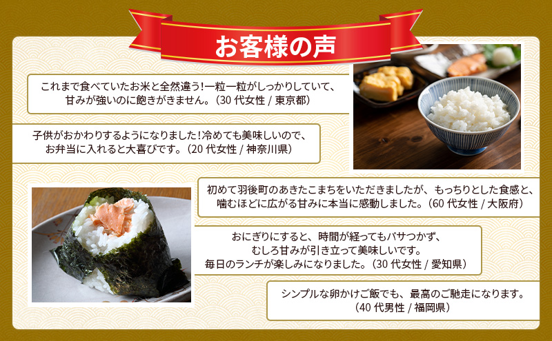 新米 先行予約［令和8年産］定期便 秋田県産 あきたこまち 15kg (5kg×3袋) 全6回 毎月お届け 羽後町産 [藤原商店]【米 お米 白米 精米 あきたこまち アキタコマチ 美味しい 秋田 羽