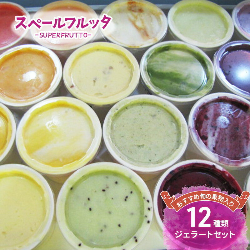 【ふるさと納税】おすすめ旬の果物入り 12種類ジェラートセット アイス ジェラート 旬の果物 チョコレート 抹茶ミルク ピスタチオ 食べ比べ セット 詰合せ お取り寄せ 文京区 東京