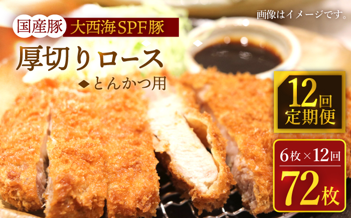 【12回定期便】大西海SPF豚 国産豚 厚切りロース とんかつ用 6枚  ＜大西海ファーム＞ [CEK177]