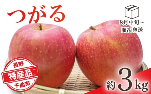 りんご つがる 約3kg | りんご 林檎 リンゴ 信州りんご 長野県 千曲市