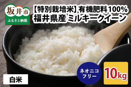 【先行予約】【令和7年産・新米】【特別栽培米】福井県産 ミルキークイーン 10kg ～化学肥料にたよらない100%の有機肥料～ ネオニコフリー（白米）【2025年10月上旬以降順次発送予定】 [A-13406_01]