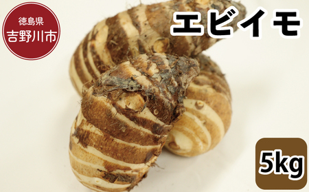 エビイモ 5kg 2025年10月上旬～発送予定 エビイモ 芋 野菜 エビイモ 芋 野菜