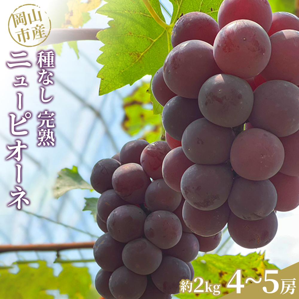 【ふるさと納税】ぶどう 2025年 先行予約 種なし完熟 ニューピオーネ 約2kg（4～5房）岡山市産 渡邊農園 | フルーツ 果物 くだもの 食品 人気 おすすめ 送料無料