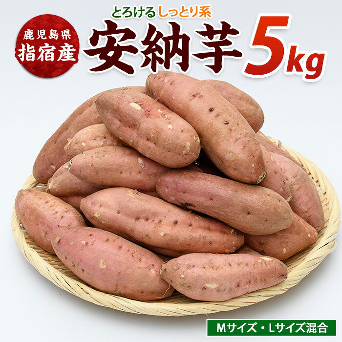 【ふるさと納税】＜2026年11月上旬以降順次発送＞らくと農園の安納いも 約5kg さつまいも サツマイモ 安納いも 芋 野菜 大容量【らくと農園】