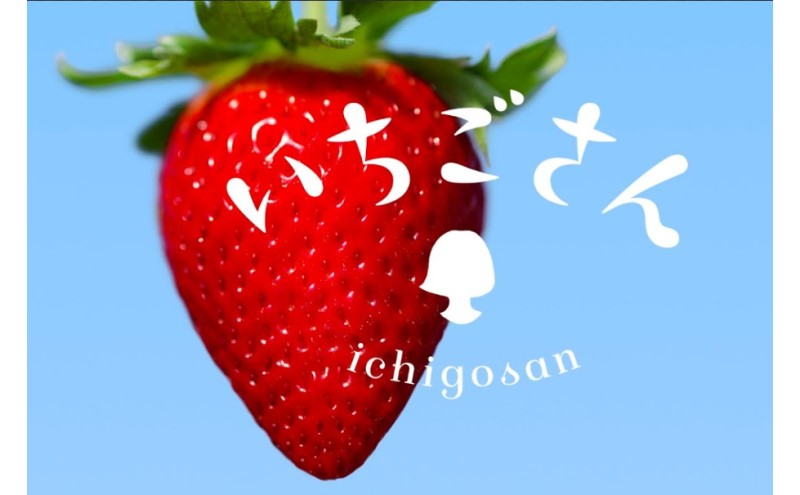 
            [№5353-0578]いちご いちごさん4パック 苺 イチゴ 果物 フルーツ デザート ※配送不可:離島
          