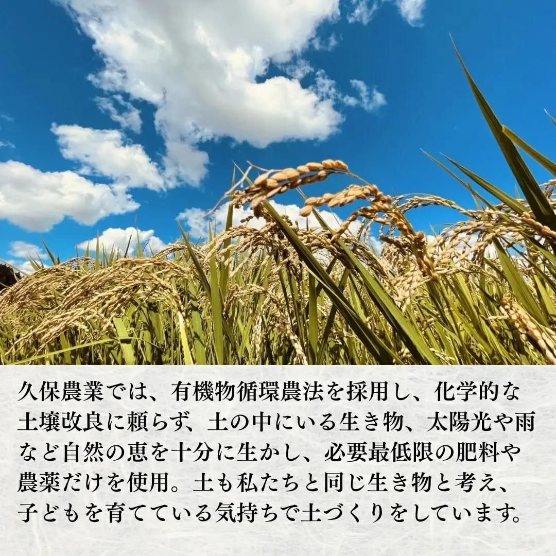 【令和7年産】新潟県産コシヒカリ 精米 5kg 五泉市産 | 白米 米 こしひかり