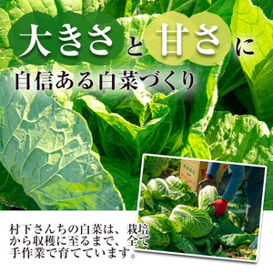 ≪期間限定≫村下さんちの白菜(約3kg×2個) 白菜 はくさい 野菜【曽於市観光協会】A1019