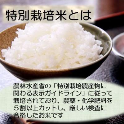 ふるさと納税 小国町 【令和7年産新米先行予約】つや姫15kg(5kg×3袋)山形県小国町産　精米　小国米穀商業協同組合 |  | 01