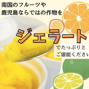 【A83004】＜2026年4月以降順次発送予定＞南のくだもの王国 南のFRUIT＆CROPS ジェラート セット (9種 9個入り) ジェラート アイスクリーム アイス スイーツ フルーツ おやつ 