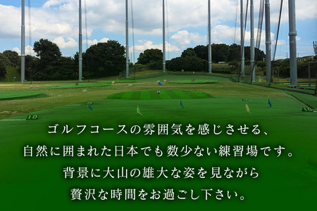 伊勢原ゴルフセンター 1万円分 ICカードチャージ券 ゴルフ練習場 [0403]