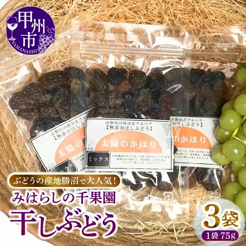 ぶどうの産地勝沼で大人気！みはらしの千果園の干しぶどう3袋（MG）A07-360