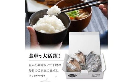 【奇数月定期便】いずま海産のトロアジ干物8枚頒布会【6回お届け】干物