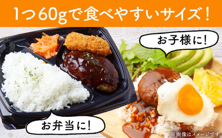 【農林水産大臣賞】佐賀牛 ハンバーグ 60g×10個 【田中畜産牛肉店】黒毛和牛 牛肉[HBH145]