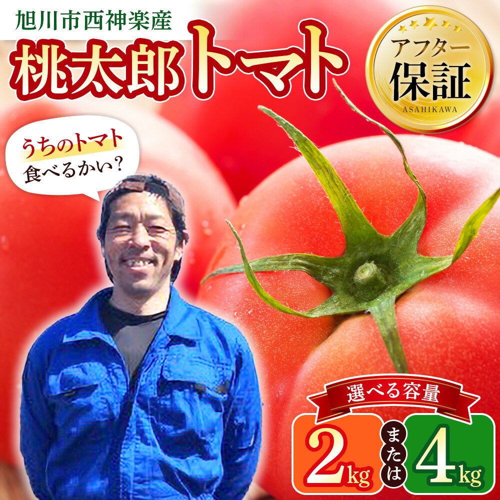 【ふるさと納税】【容量選択可】旭川市西神楽産 桃太郎トマト2kg又は4kg（2026年6月中旬～発送開始予定）_00960 | 野菜 トマト 先行予約 桃太郎トマト 旭川市ふるさと納税 北海道ふるさと納税