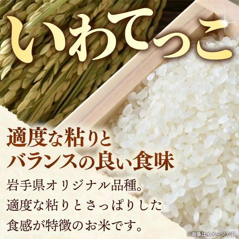 いわてっこ 10kg 令和8年度産 白米 新米 いわてっこ