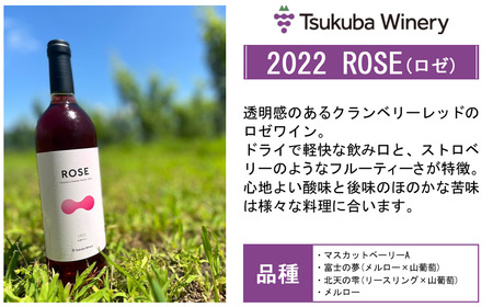 つくばワイナリー 満喫セット【お酒 葡萄 ぶどう ブドウ 茨城県産 つくば市産 ワイナリー ワイン ワイン ワイン ワイン ワイン 】