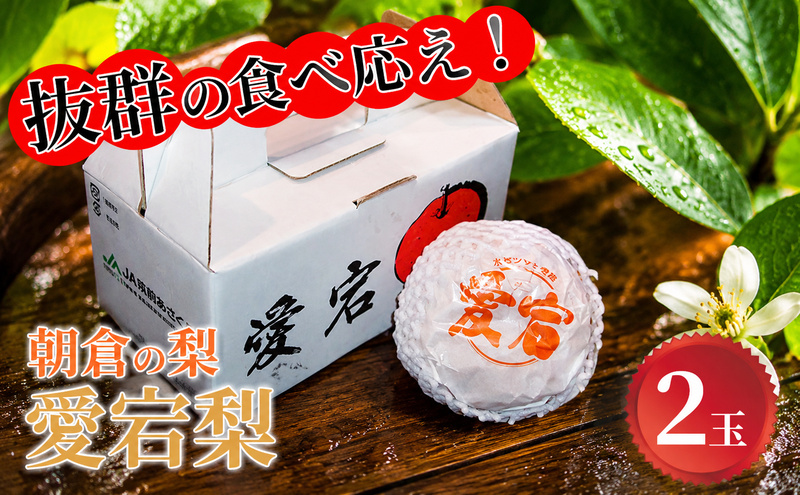 梨 愛宕 2玉×1 筑前あさくら農協 配送不可 離島 ナシ 果物 フルーツ 先行予約 