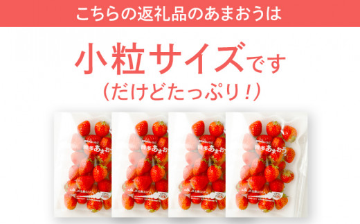  訳あり 小粒あまおう 合計約1240g 約310g×4パック【2027年2月より順次発送】