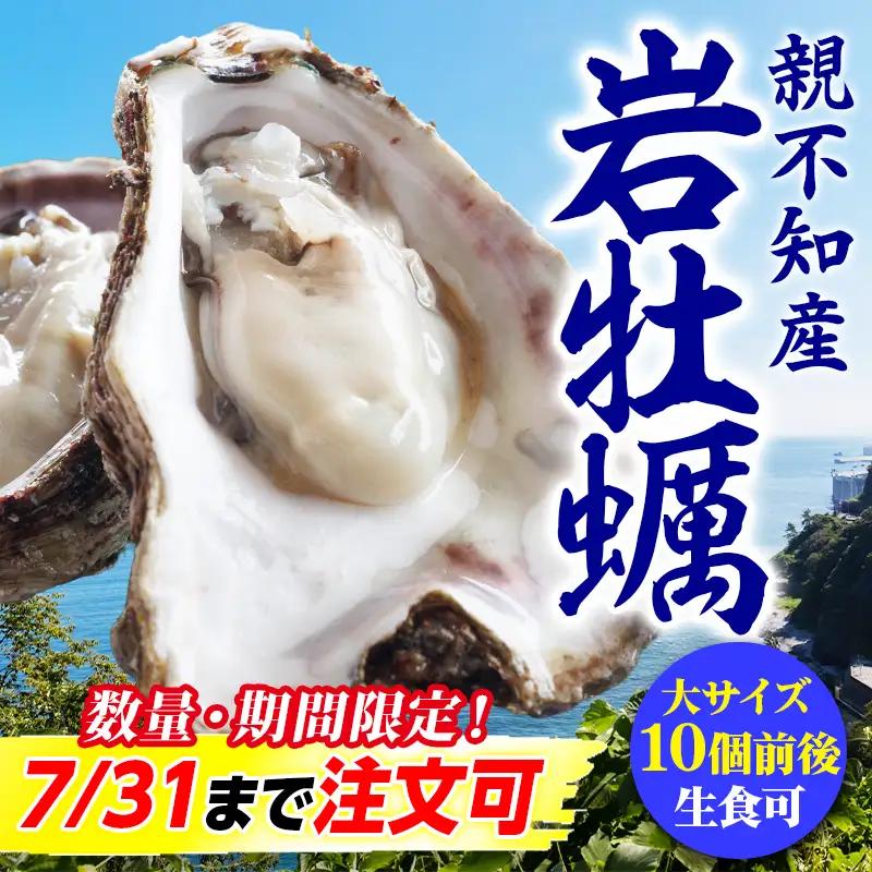 【先行予約】親不知産 天然岩牡蠣(生食用) 大サイズ４～５個 2026年7月中旬以降順次発送 鮮度抜群！ 水揚げ直後に発送 日本海 かき カキ 岩ガキ